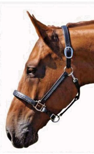 Halfter leder full oder - halfter,