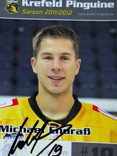 Krefeld Pinguine 2011/12