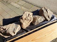 Wundervolle verkieselte - wundervolle,