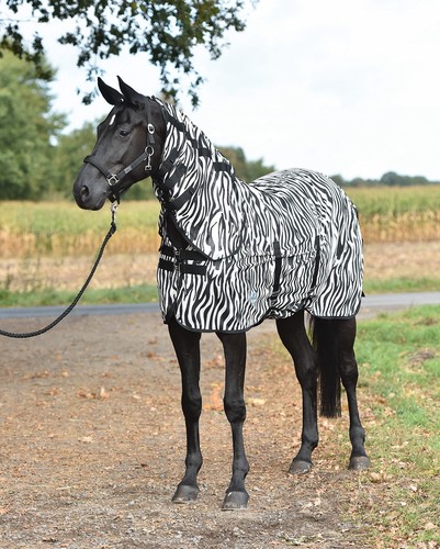 Paddock fliegendecke zebra - paddock-fliegendecke,
