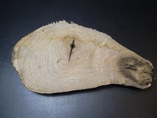 Pferdekopf  Esel    Eiche  DIY