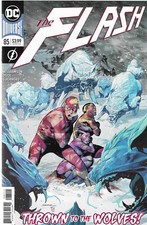 The Flash No.85 / 2020 Joshua