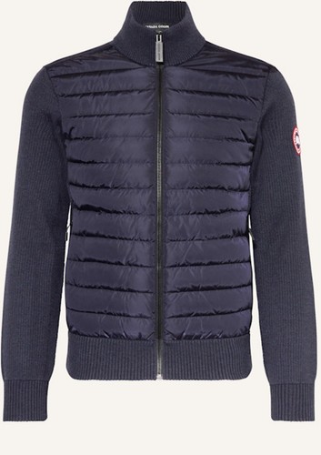 Canada goose hybridge - canada,