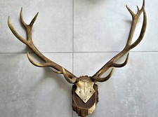 dekoratives Allgäuer