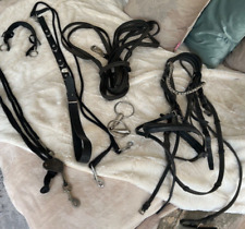 Longierzubehör: Trense, Longe,  Gogue/Chambon