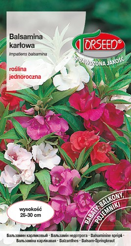Balsamina - , (impatiens)