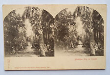 Alte Stereoscope Foto "Amerika