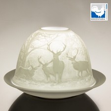 Dome-Light, Leuchtkuppel