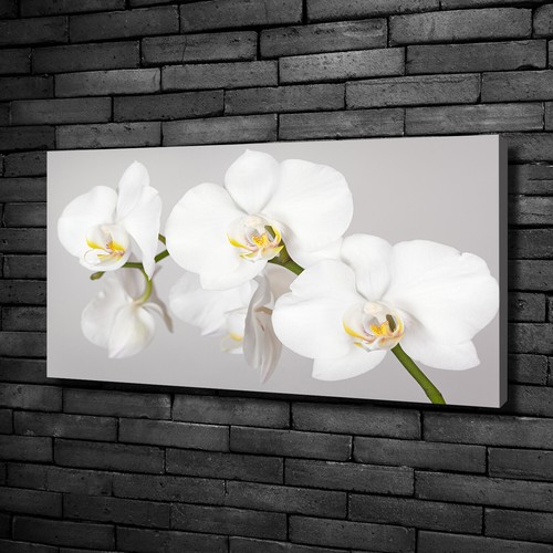 Leinwandbild kunst druck - leinwandbild, kunst-druck