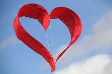 Einleiner   Drachen Herz   mit