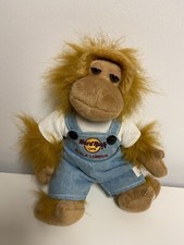 Hard Rock Cafe local