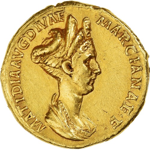 Matidia aureus 112 - matidia,, aureus,