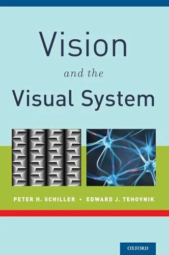 Vision and the visual - and,