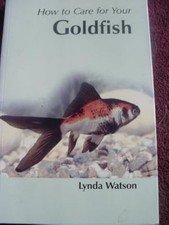 How To Care For Your Goldfish