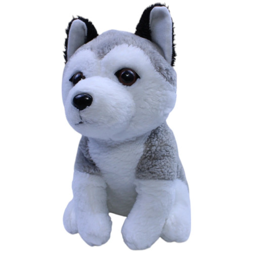 Tcc global pets2cuddle husky - global,