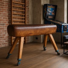 Rarität Pauschenpferd loft Style Vintage Echt Leder Patina Original Berg