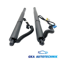 2x Gasfeder Powerlift