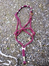 Lila/burgund Monty Roberts Be