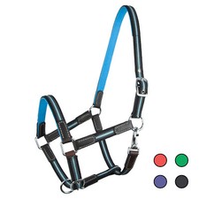 Halfter "Ruby" Leder Gurtband farbig robust