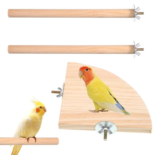 Qfwdfctrenz stück vogel - qfwdfctrenz,