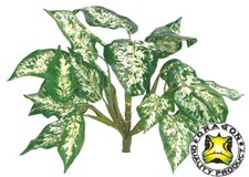 Evergreen 38cm