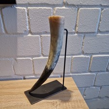 Edles Kuhhorn Vase Kuhhörner Rinderhörner Stierhörner Poliert Ständer 30cm hoch