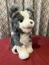 Ricky, the Trick-Lovin’ Pup