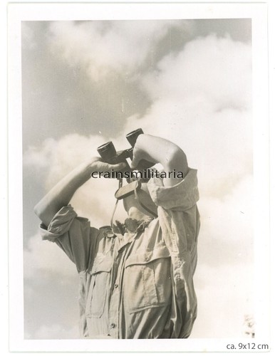 Orig foto tropen beobachter - foto,