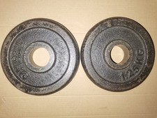 Hantelscheiben Gusseisen 2x 1,25kg