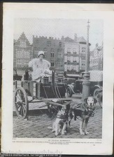 Carting zughunde seiten - zughunde,