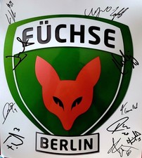 Signiertes grosses füchse - signiertes,