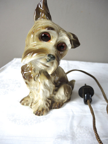Alter rauchverzehrer hund - alter,