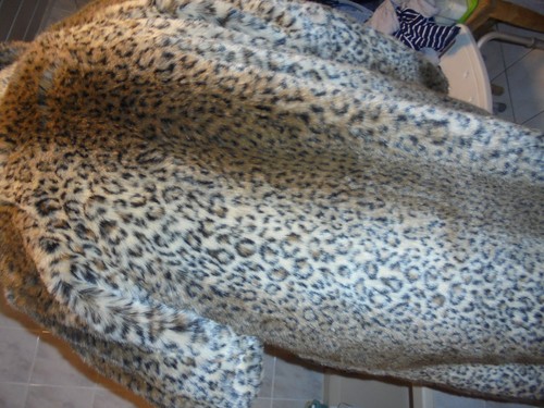 Schöner wollis leoparden - schÖner,