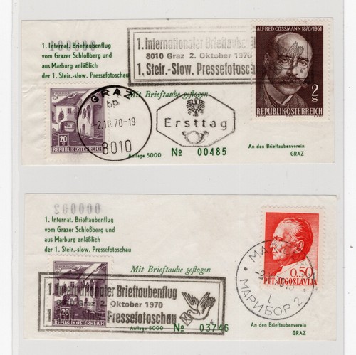 Brieftaubenpost graz maribor - brieftaubenpost, +