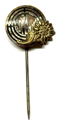 Steyr logo mit edelweiß - logo,