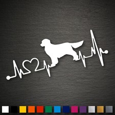 14196 golden retriever - 14196,