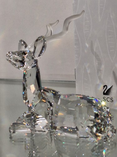 Swarovski scs 1994 kudu - kudu, mit
