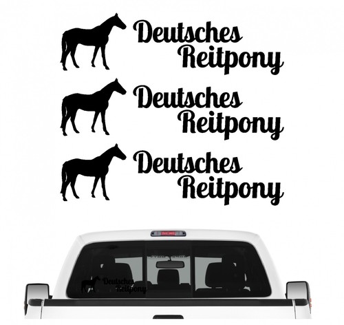 Deutsches reitpony pony - deutsches,