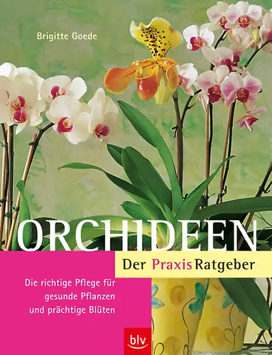 Orchideen der praxis - orchideen., praxis-ratgeber