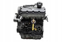 Motor VW I BXE 1.9 TDI 105PS