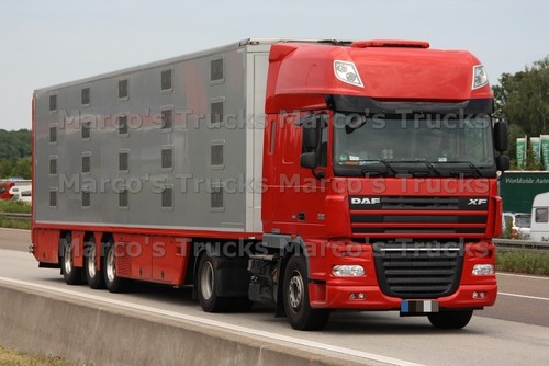 Lkw foto daf - daf, xf