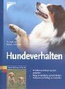 Hundeverhalten: Verhalten und