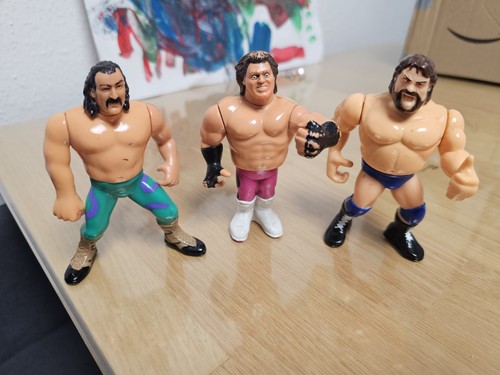 Wwf hasbro figuren jake the - ,