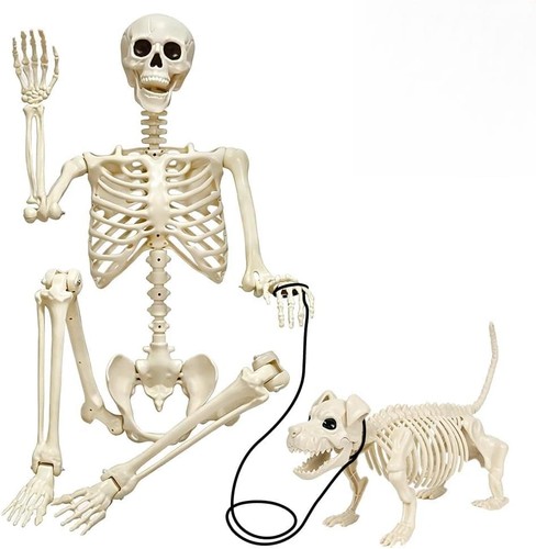 Halloween skelett set 90cm - set,