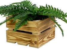 Kleine Holzkiste "Lotta" geflammt Obstkiste Dekokiste Geschenkiste