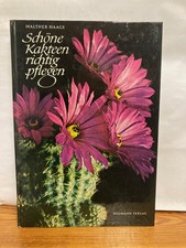 Schöne Kakteen richtig