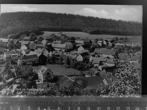 30078043 3589 appenfeld - 30078043,