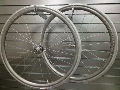 Bontrager paradigm - bontrager,