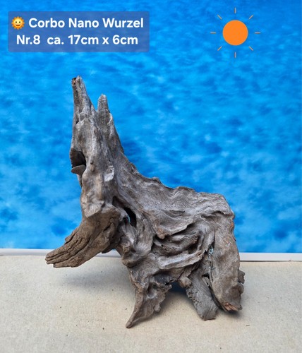 Corbo root nano - ‼️corbo,