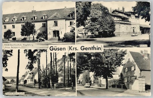 51173975 3281 guesen - 51173975,
